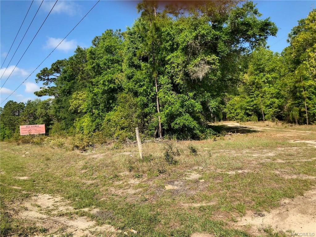 Property Photo:  7395 W Dunnellon Road  FL 34433 