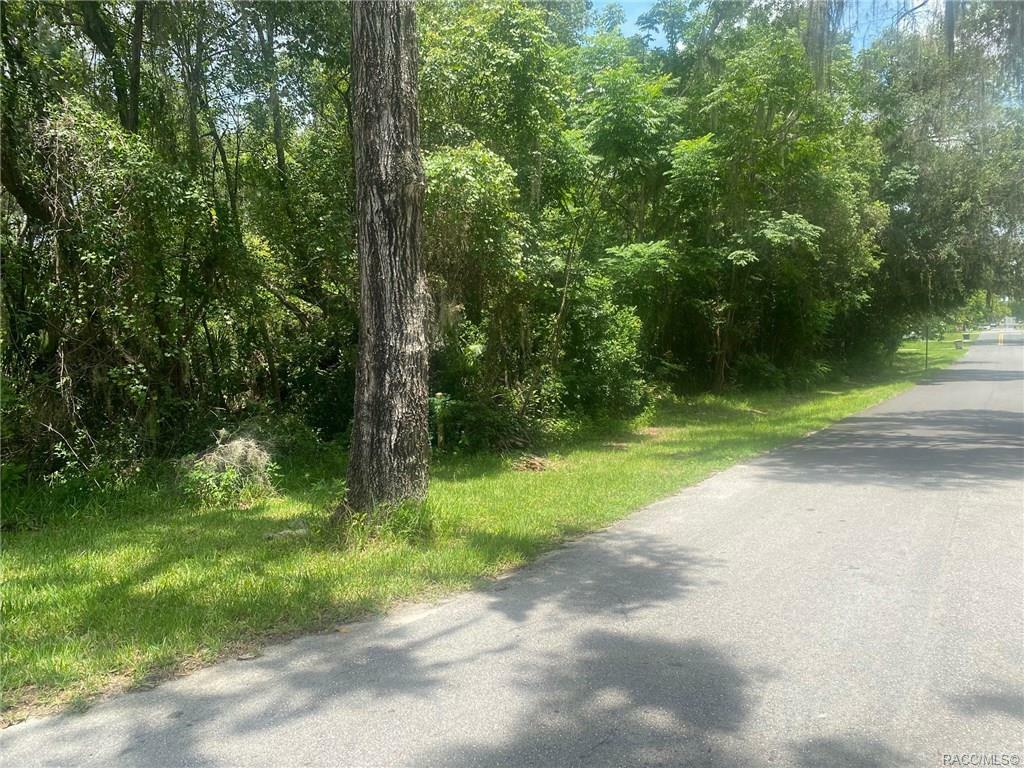 Property Photo:  Lots 1825.1826.1827.1828 Walnut Street  FL 34431 