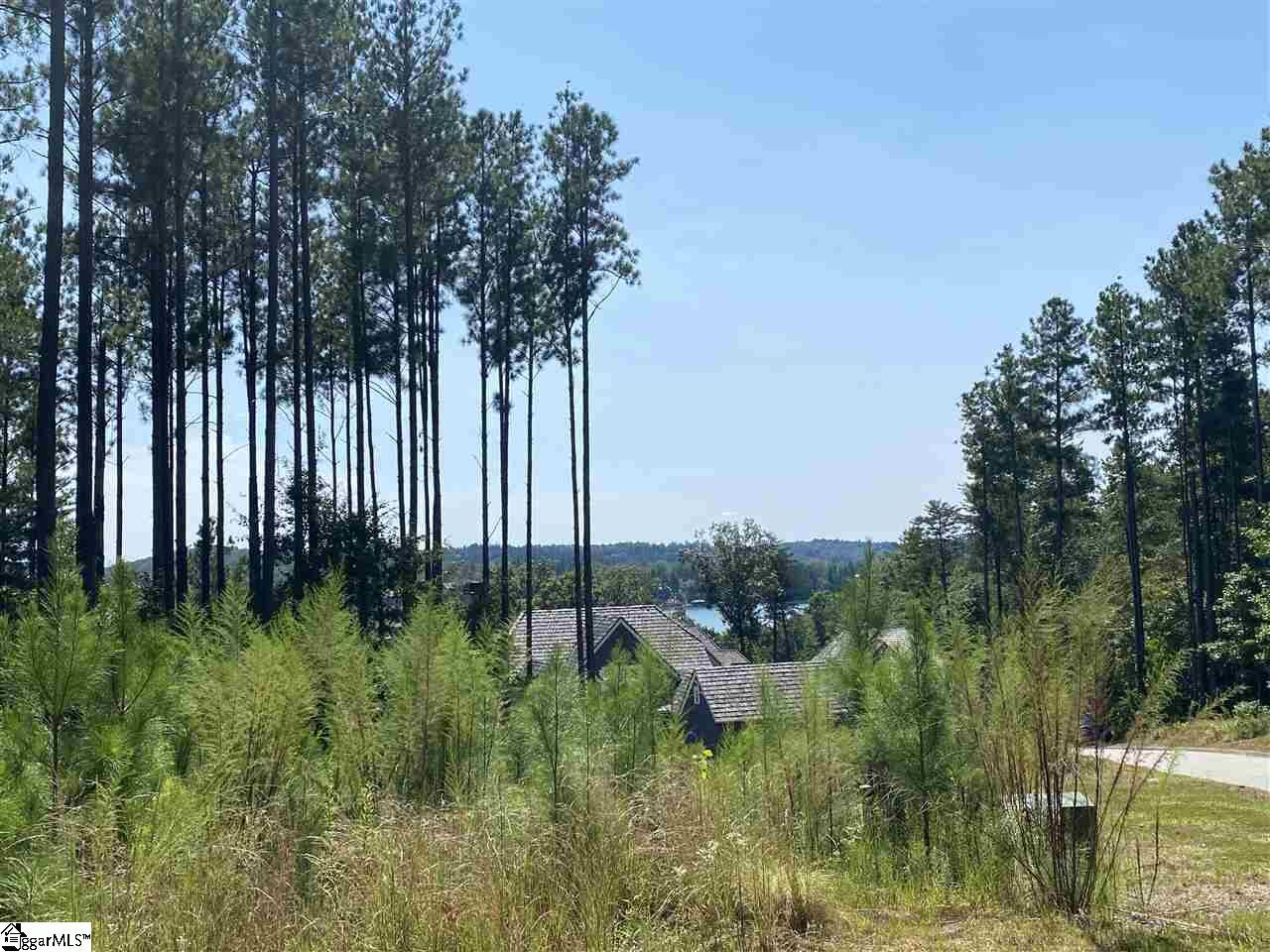 Property Photo:  236 S Lake Drive  SC 29685 
