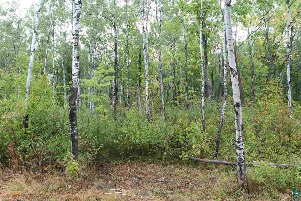 Property Photo: 000 Hwy 13 WI 54806