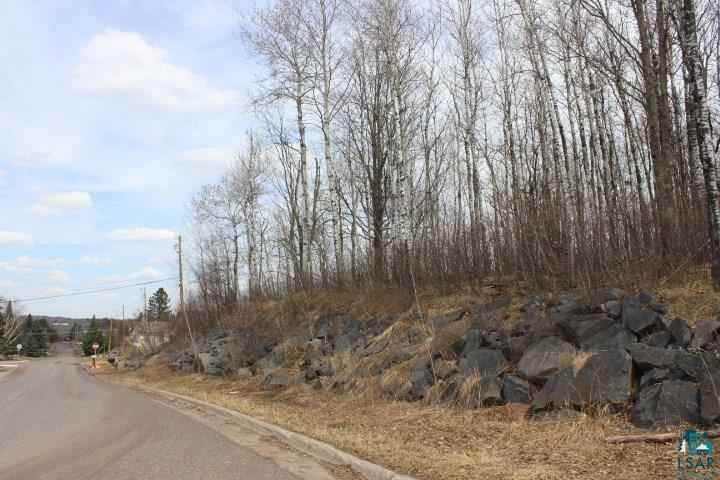 Property Photo:  Xxxa S 8th Ave Tract A  MN 55810 