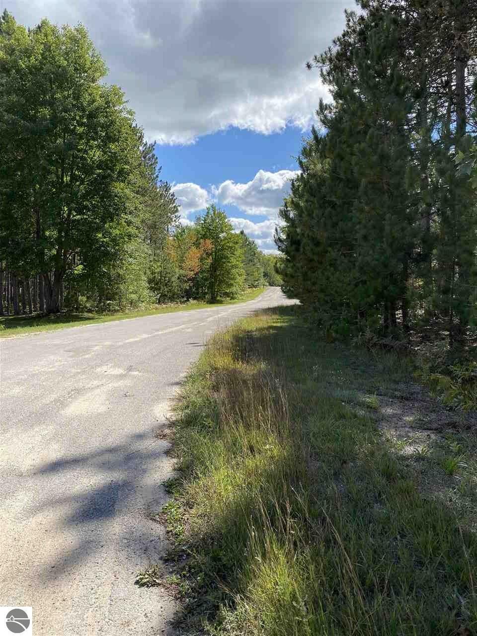 Property Photo: 000 SW Farm Lane MI 49680