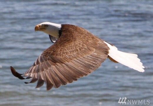 Property Photo: 4317 77th Place NW WA 98271