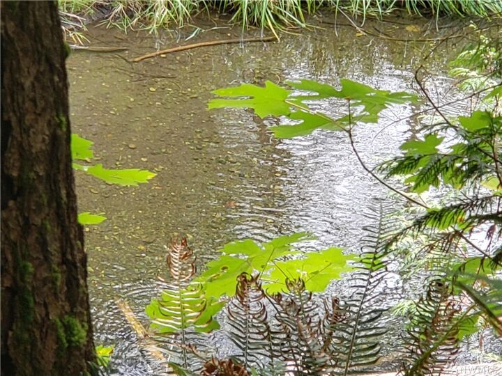 Lot 23 W Blueberry Lane  Elma WA 98541 photo