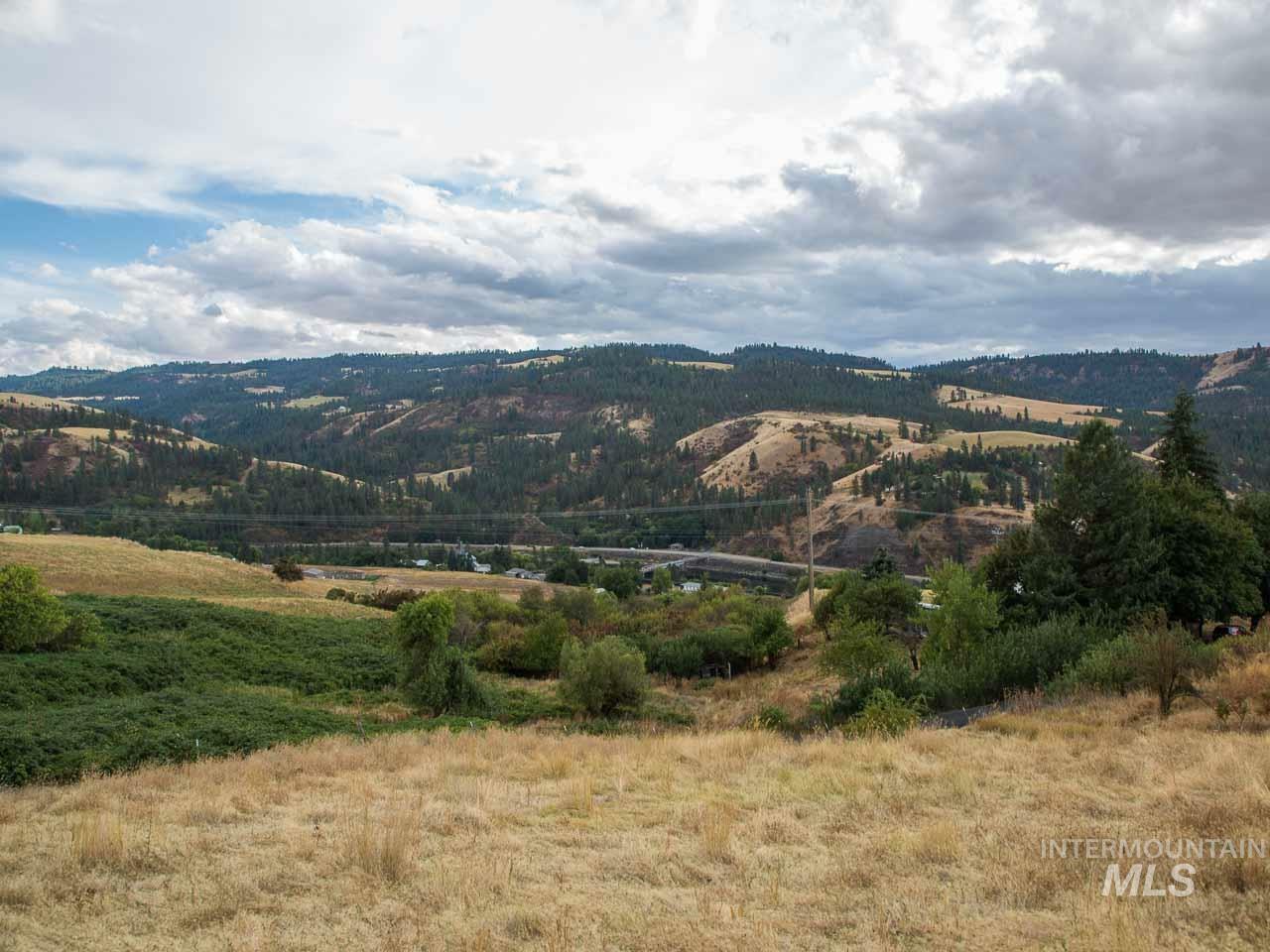 Property Photo:  Tbd River Road Parcel #4  ID 83541 