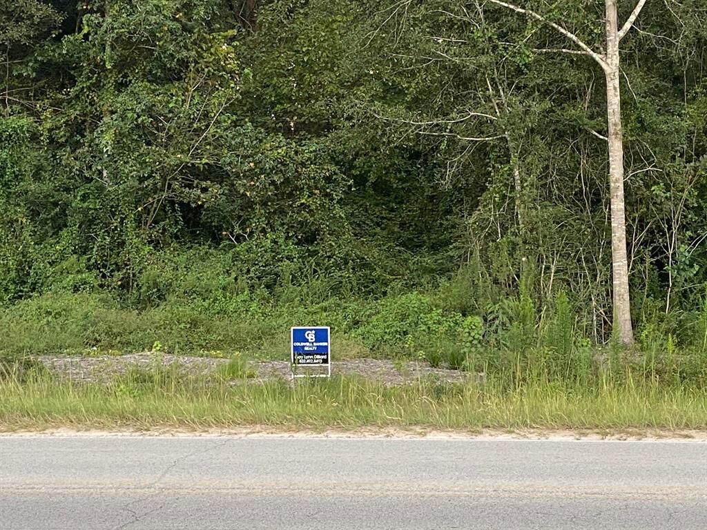 Property Photo: Tbd Sorters Rd TX 77365