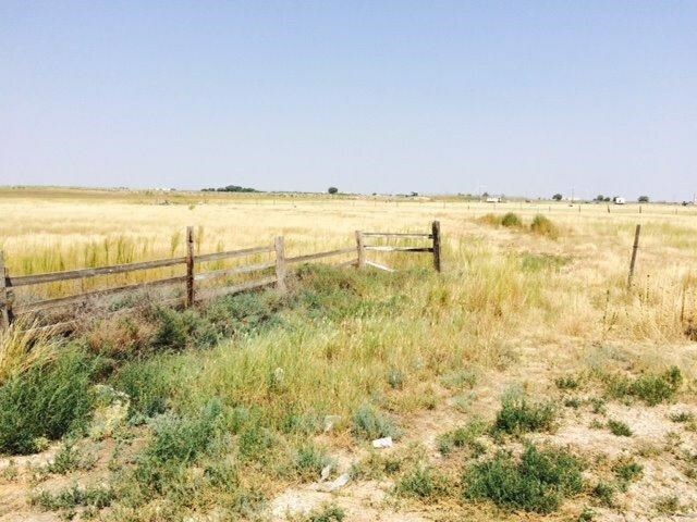 Property Photo:  4203 County Road 1170  TX 79407 