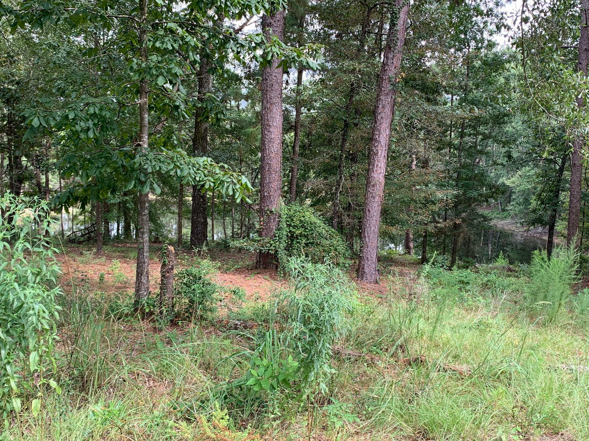Property Photo: 000 Dogwood Lake (Lot 16) Rd. MS 39459