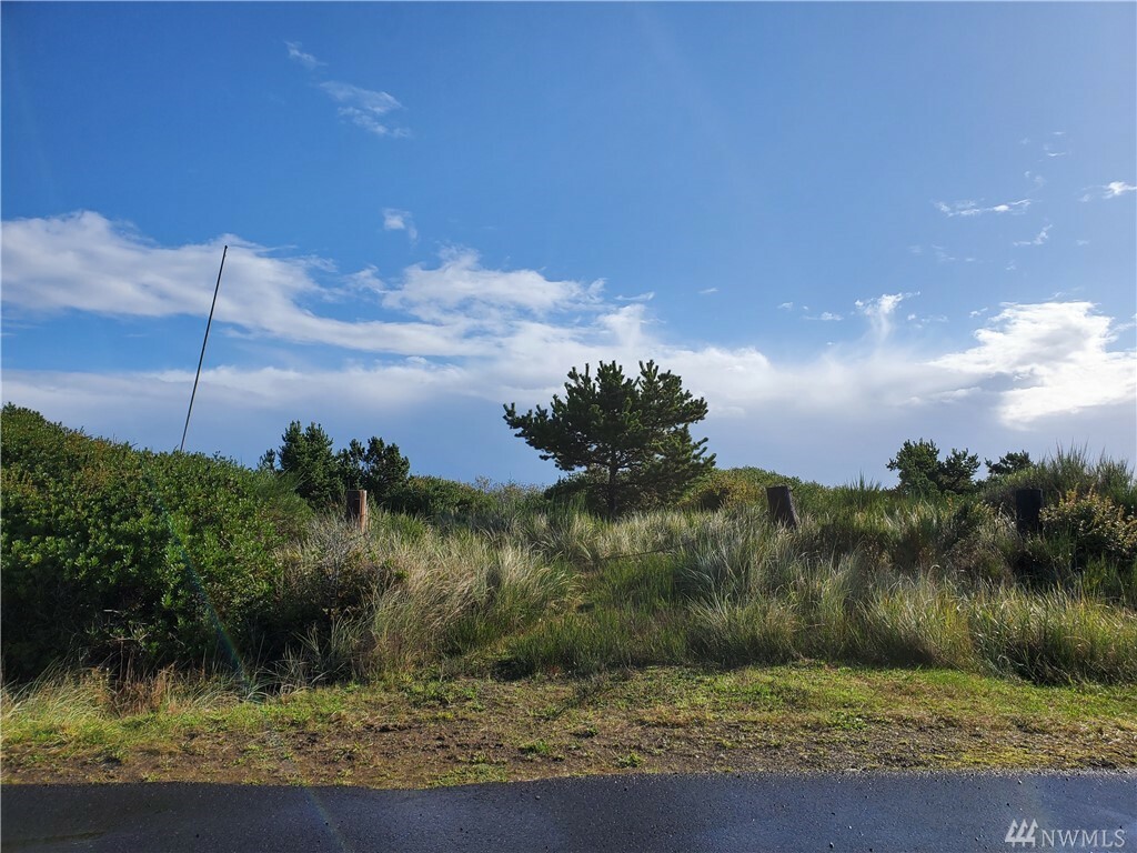 Property Photo:  1082 Crestshire Lp SW  WA 98569 