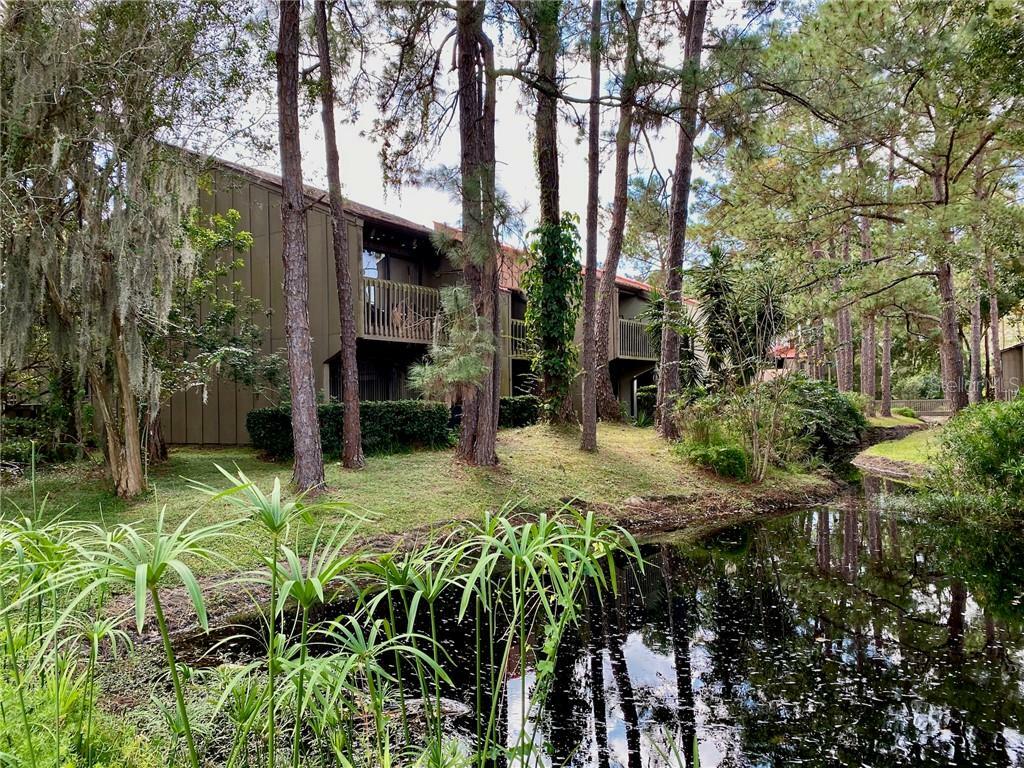 Property Photo:  5301 Indian Creek Drive D  FL 32811 