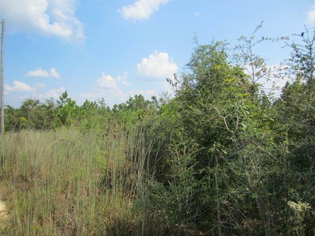 Property Photo: 000 Old Highway 49-Parcel H MS 39401