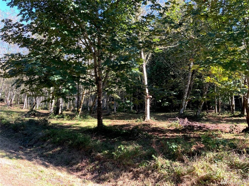 Property Photo:  7665 Blossomberry Lane (Lot 4)  WA 98284 