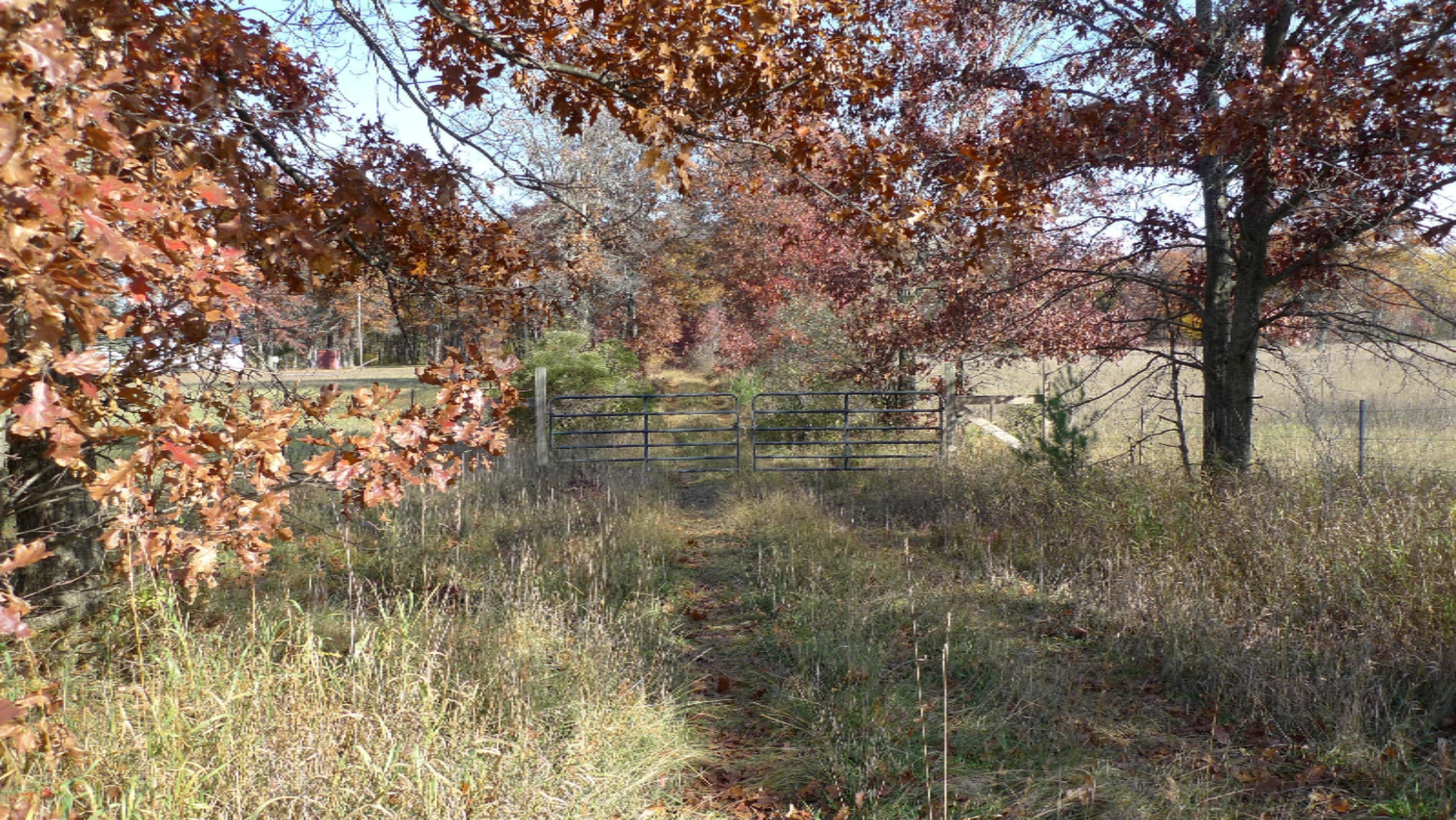 Property Photo: 502 S Oak Avenue MI 49349
