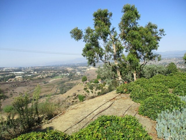 Property Photo:  29252 Elba Drive  CA 92677 