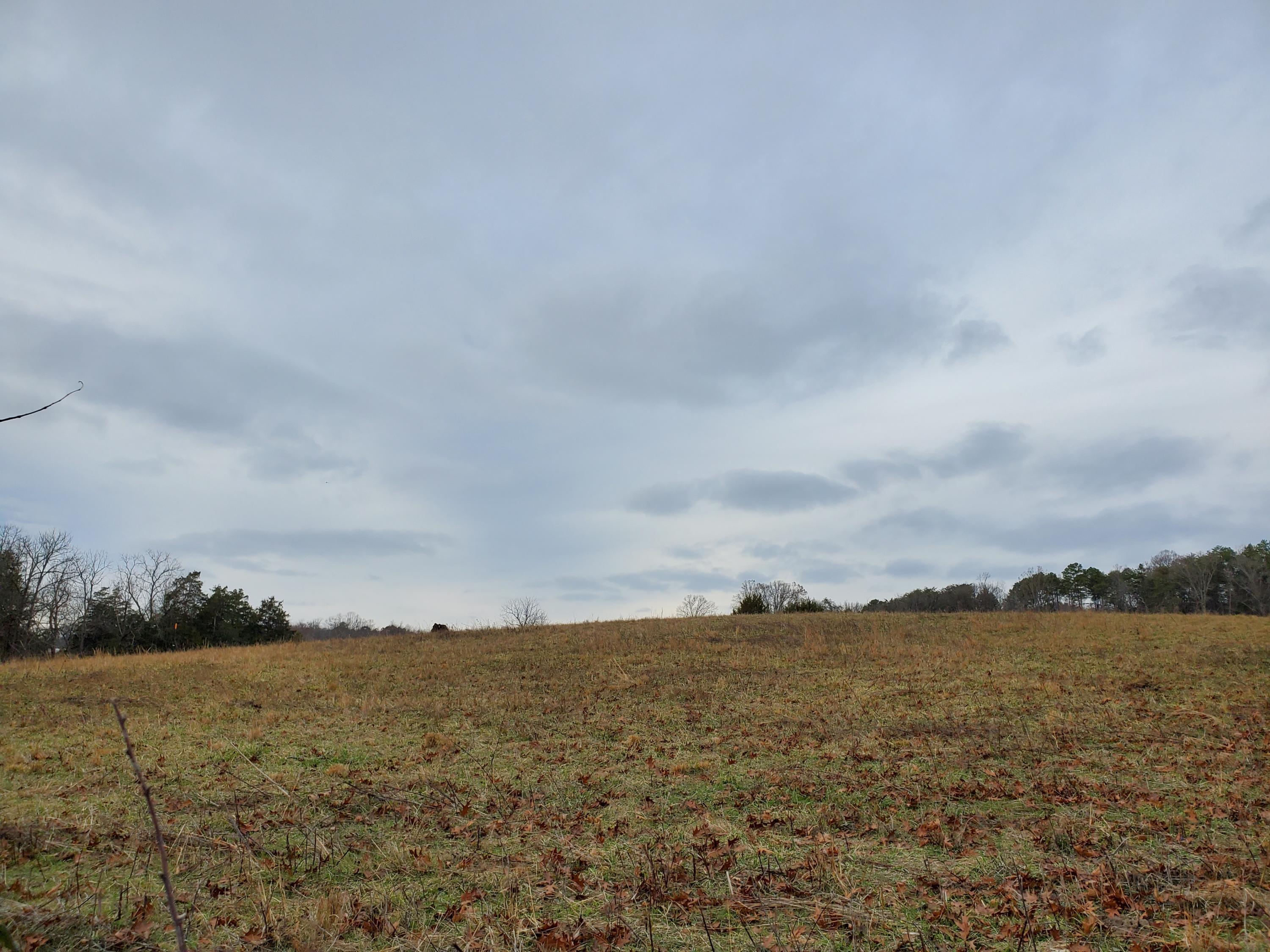 Property Photo:  Jim Luttrell Lane  TN 37918 