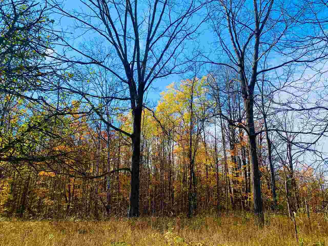 Property Photo:  Tbd S Rogers  MI 49727 