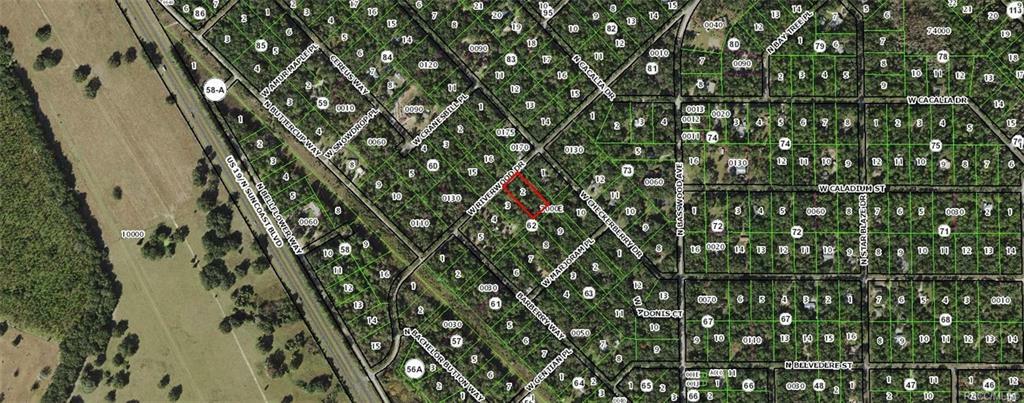 Property Photo:  12350 W Riverwood Drive  FL 34428 