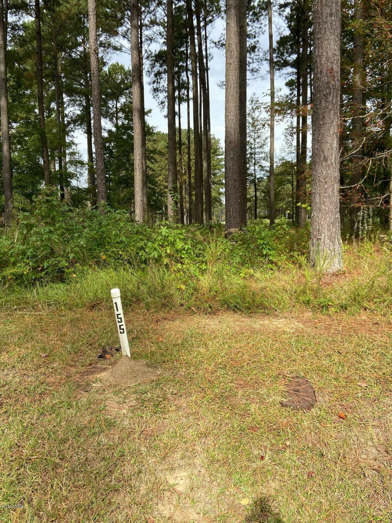 Property Photo: 439 Cypress Landing Trail NC 27817