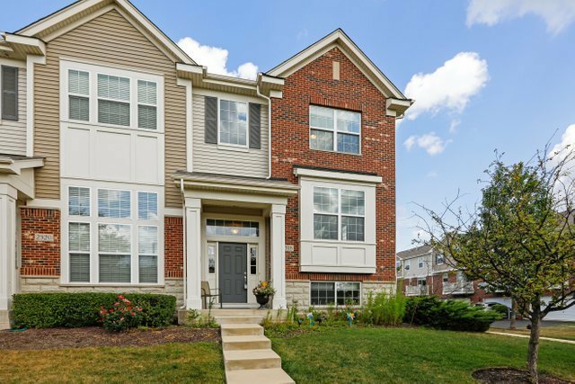 Property Photo: 2518 Dunraven Avenue IL 60540