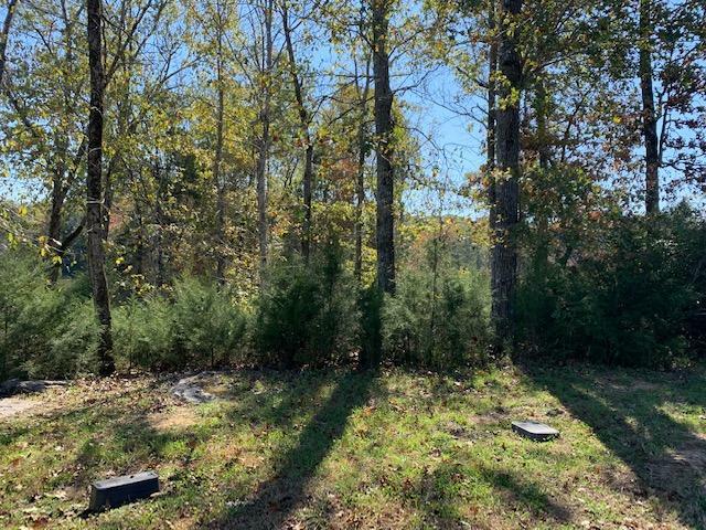 Property Photo:  E Shore Lot 21 Drive  TN 37854 