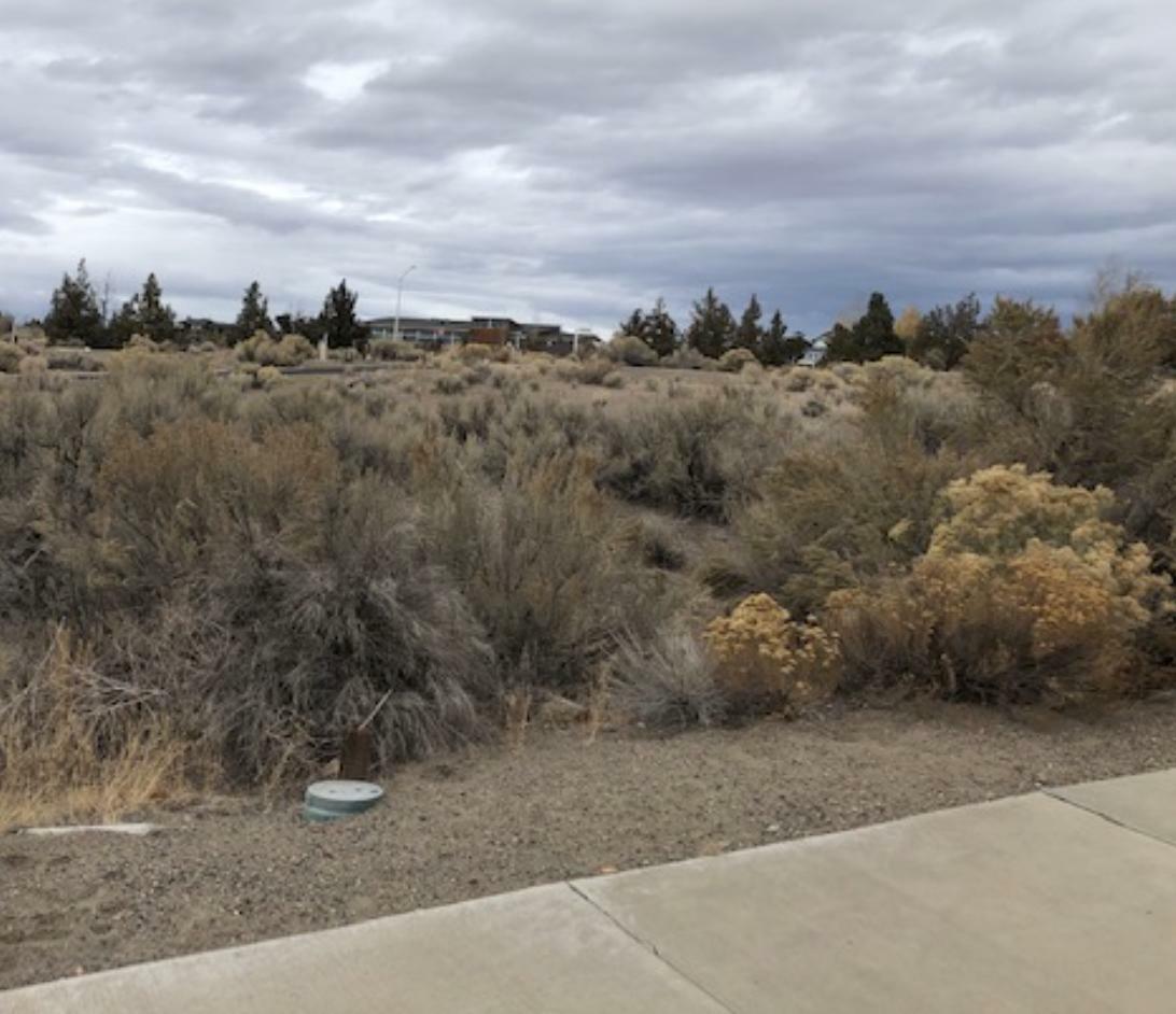 Property Photo:  1074 SE Balsamroot Lane  OR 97741 