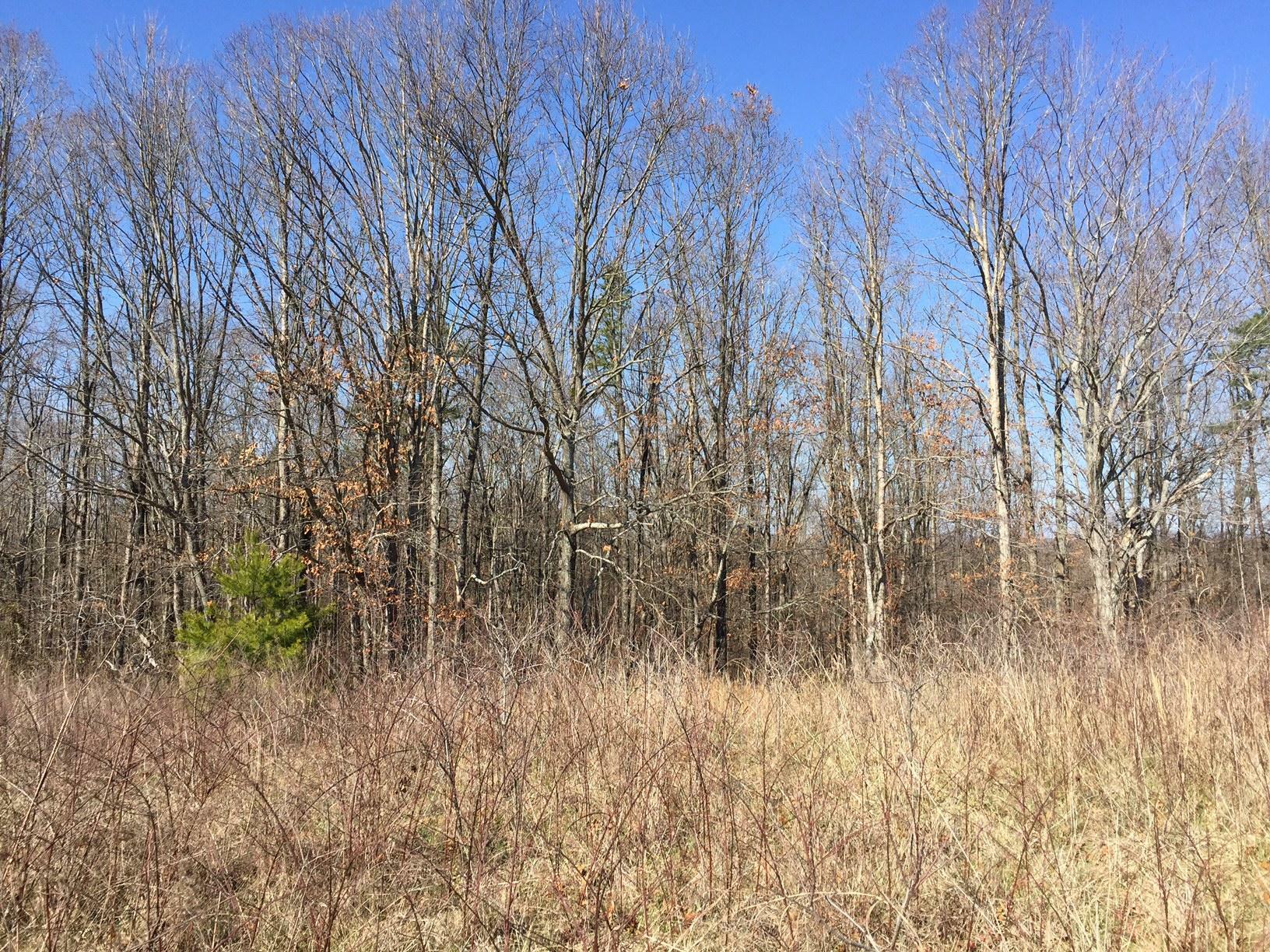 Property Photo: 0 Castlehill Drive AL 35958