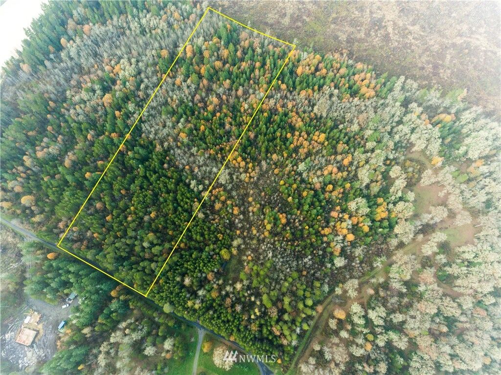 Property Photo:  0 Pine Tree Road  WA 98591 