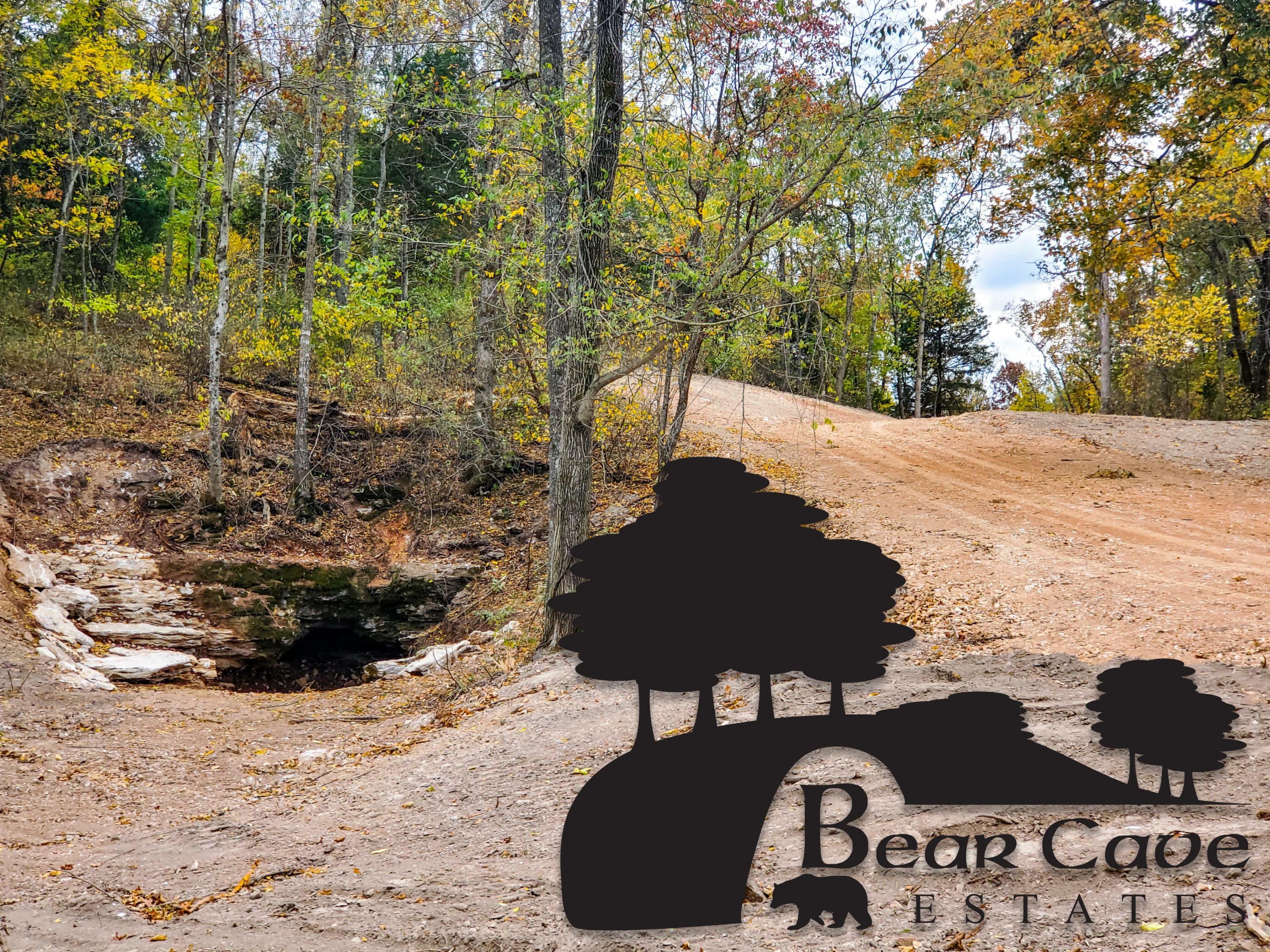 Property Photo:  Lot 6 Bear Cave Estates  MO 65705 