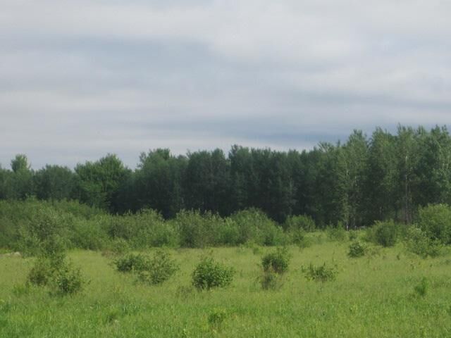 Property Photo: 77.5 A County Road S WI 54454