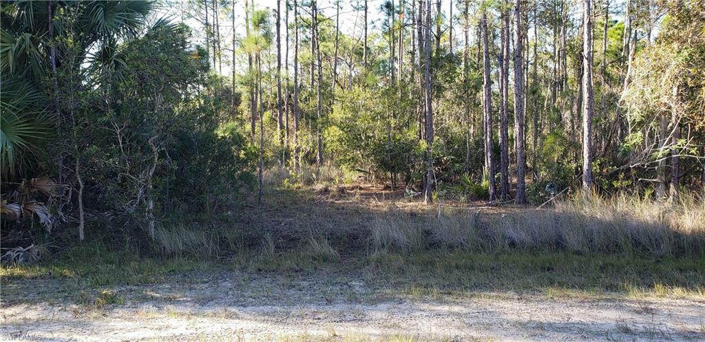 Property Photo:  27180 And 27188 Dubonet Drive  FL 33955 