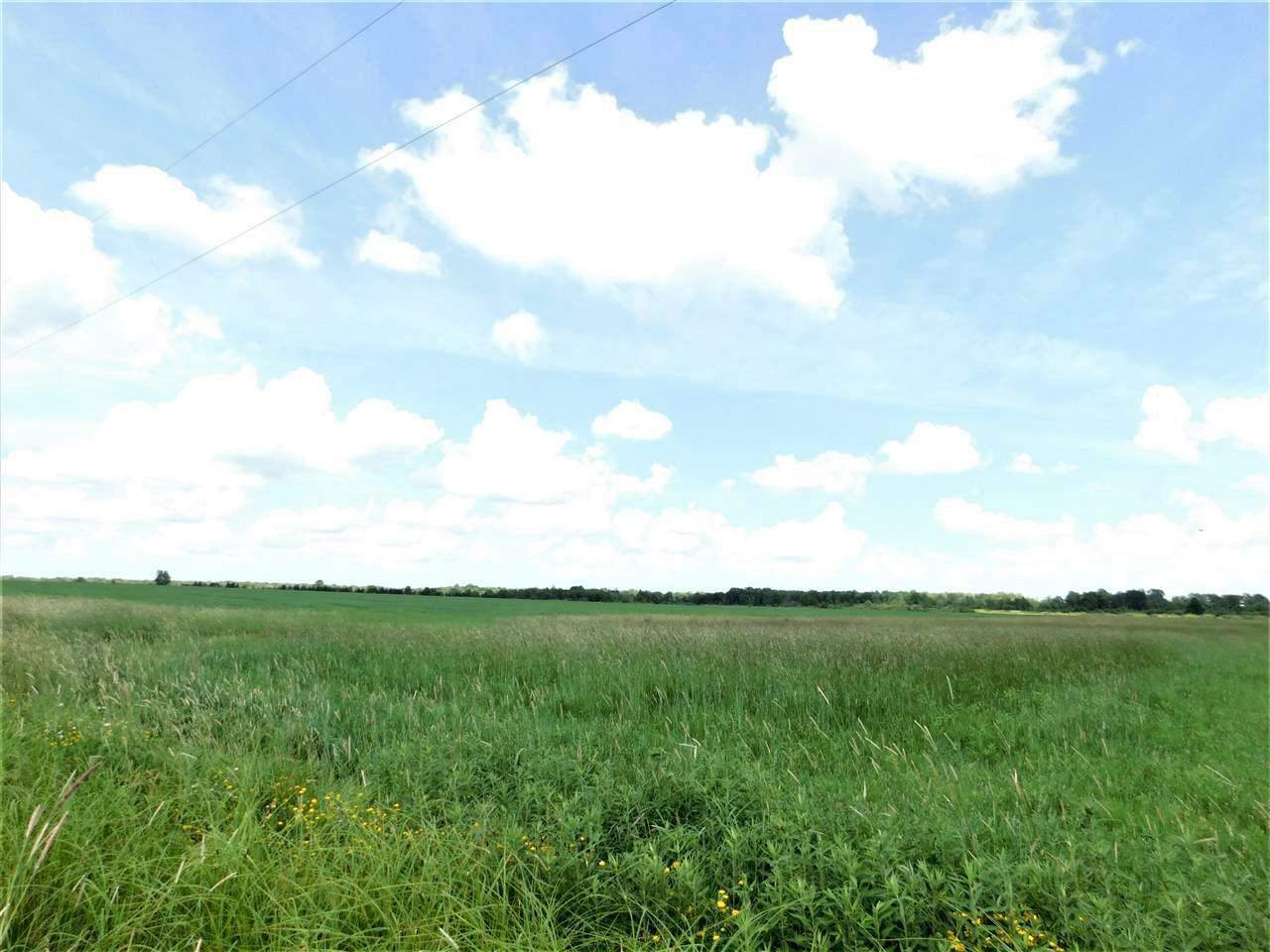 Property Photo:  92.50 Acres Mol Sawmill Road Road  WI 54403 