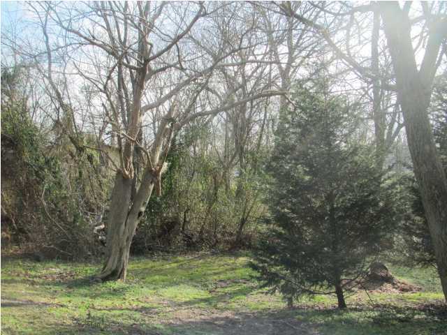Property Photo: 0 Porter Road GA 30752