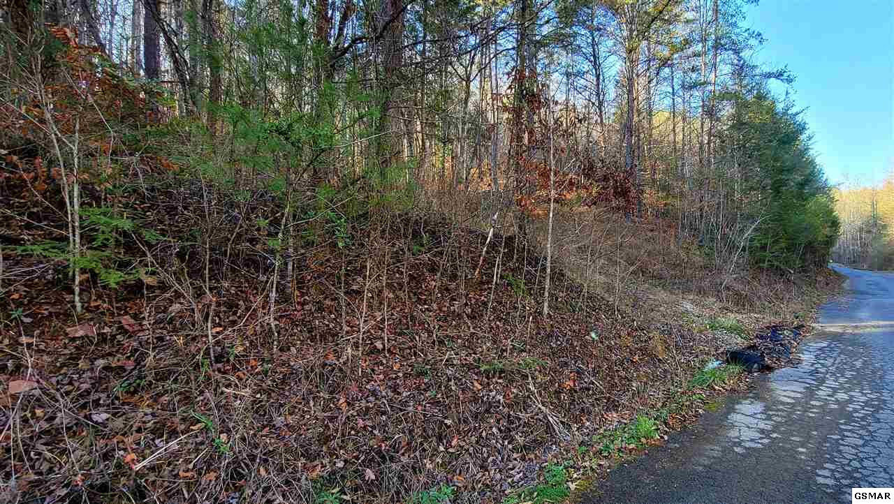 Property Photo: Licking Springs Way TN 37876
