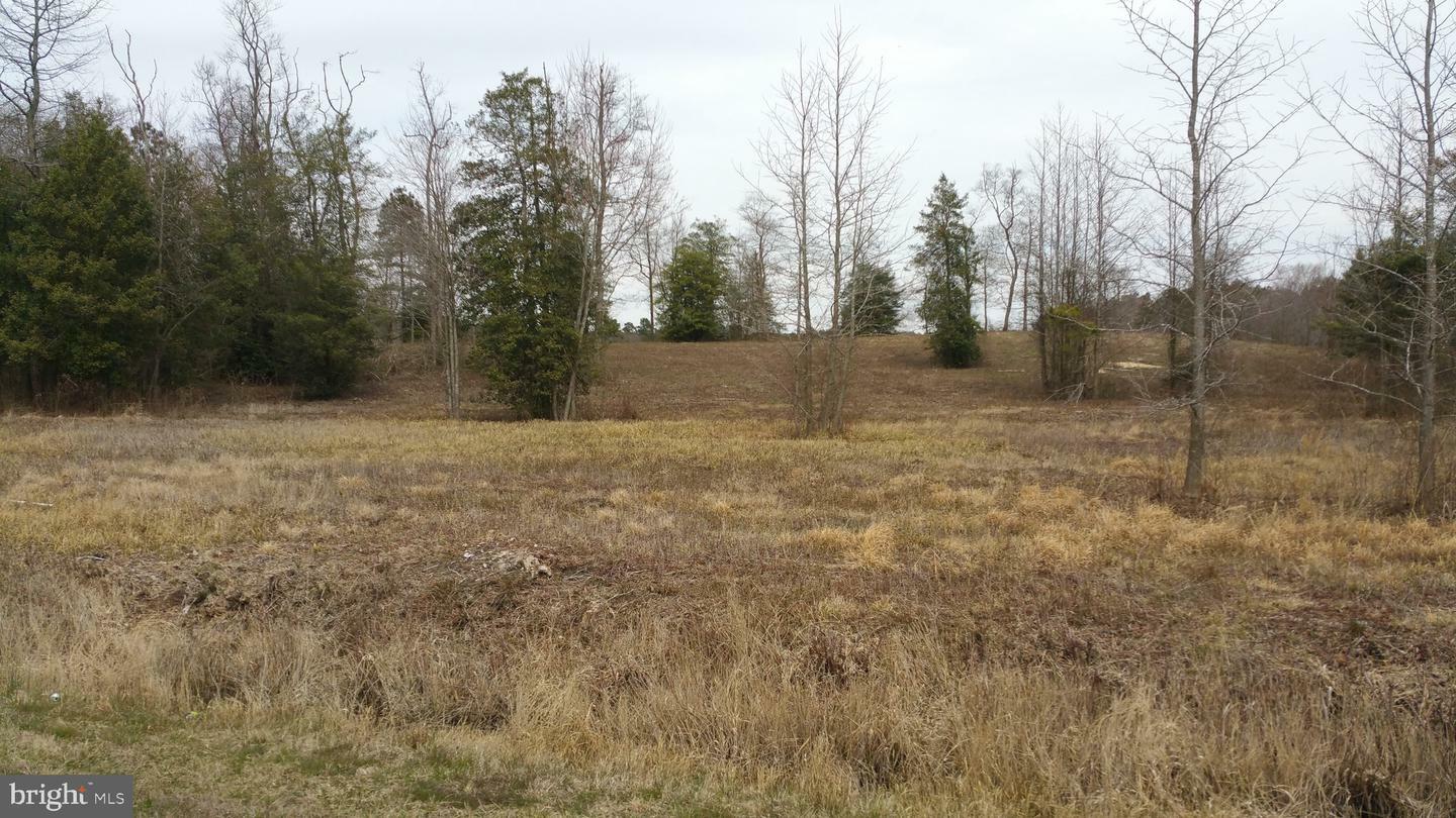 Property Photo: 0 Wango Road MD 21849