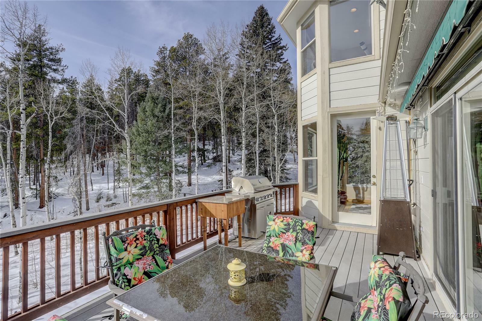 Property Photo:  21645 Indian Springs Road  CO 80433 