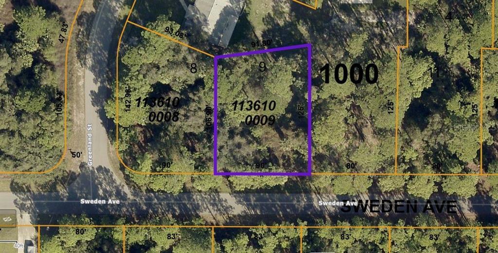 Property Photo:  Sweden Avenue  FL 34288 