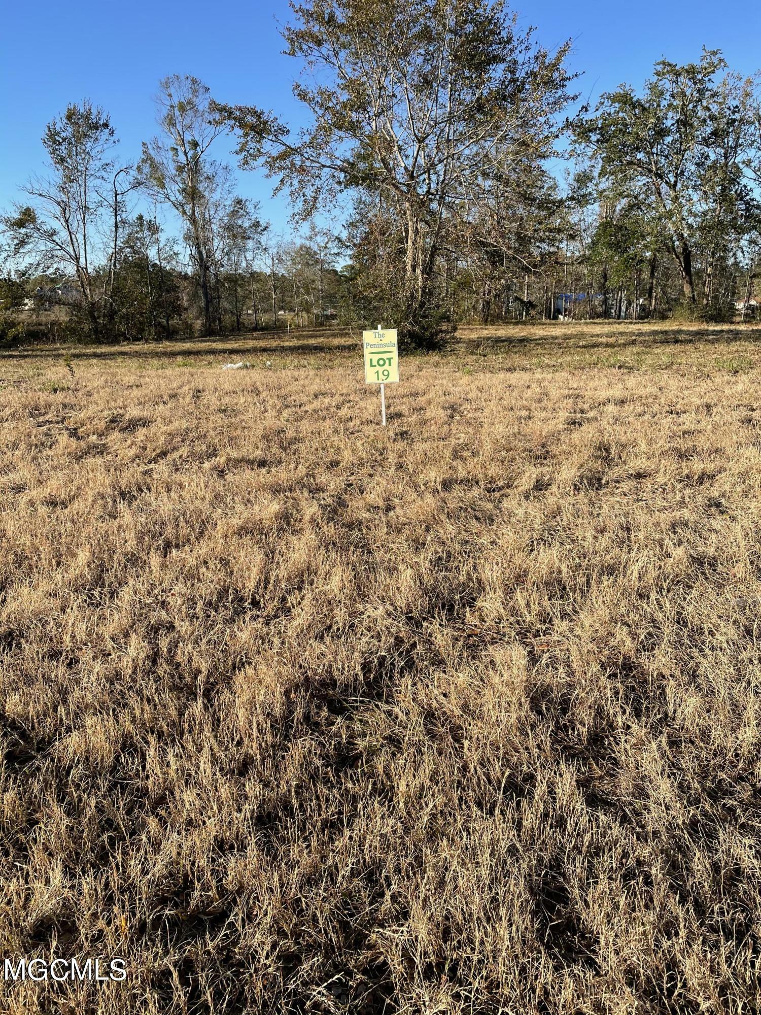 Property Photo: Lot 19 Wetzel Drive MS 39532