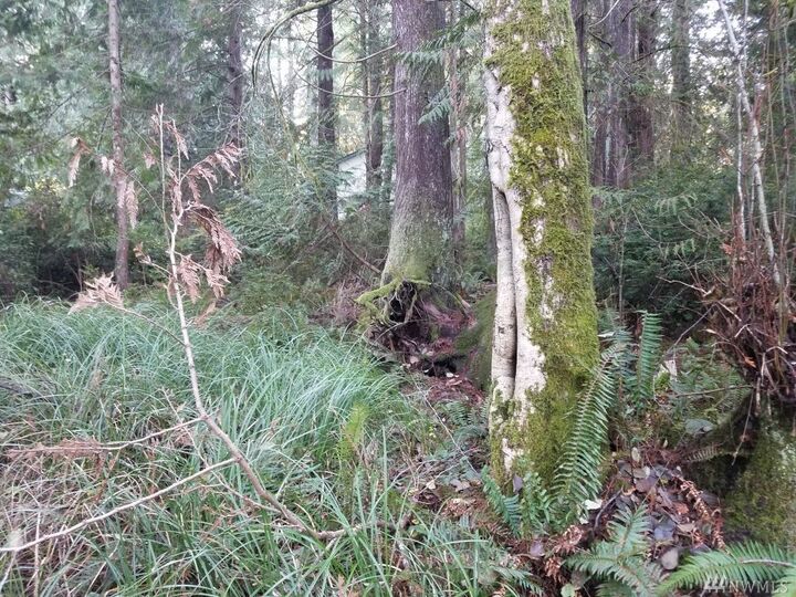 Property Photo: 100 E Liberty Rd WA 98584