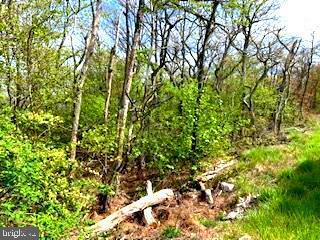 Property Photo:  0 Timber Ridge Trail  VA 22602 