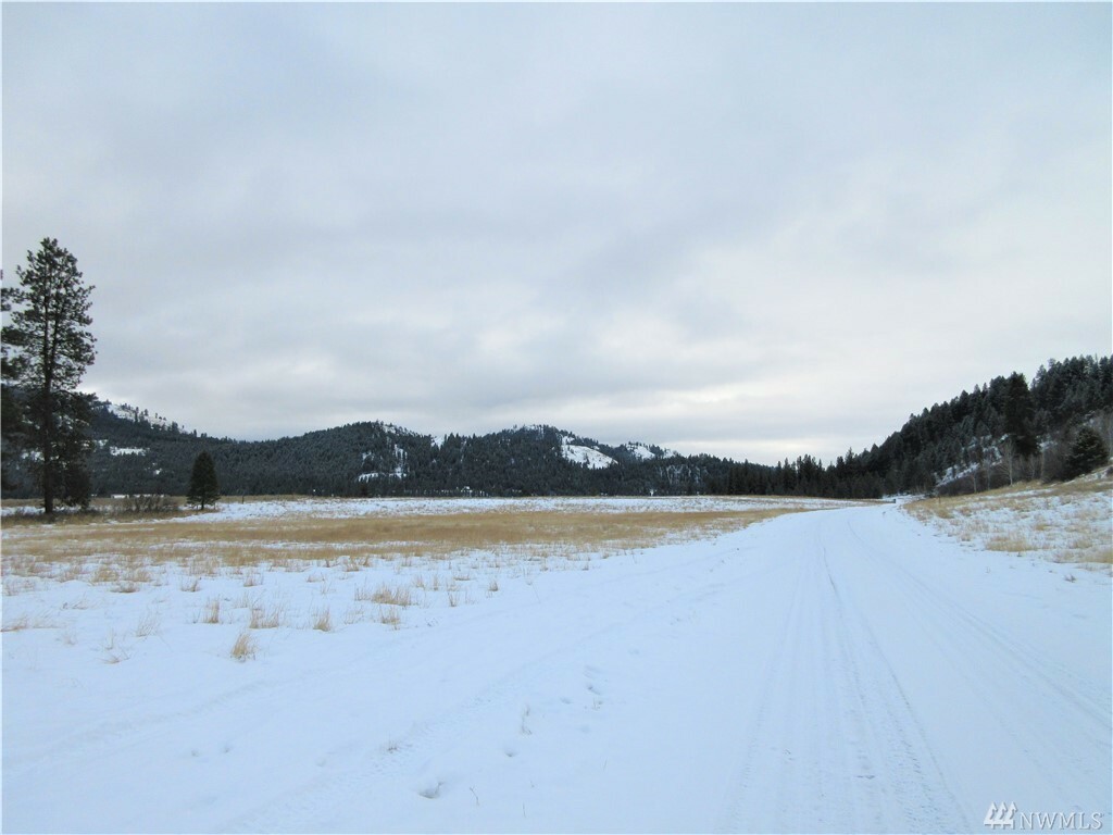 Property Photo:  Tbd Malo Lake Rd  WA 99150 