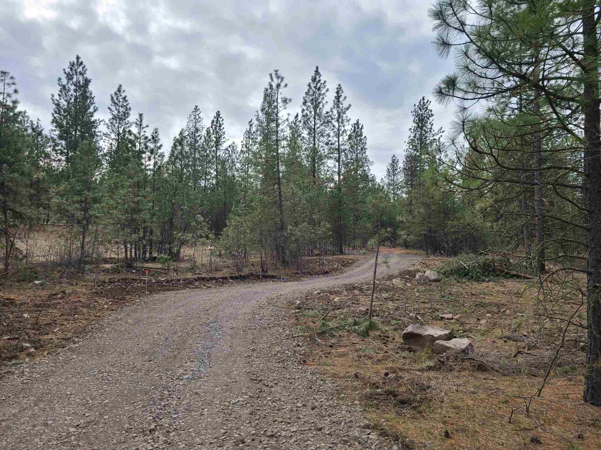 Property Photo:  Nka W Long Lake Rd  WA 99013 