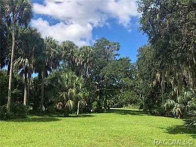 11835 Timberlane Drive  Homosassa FL 34448 photo