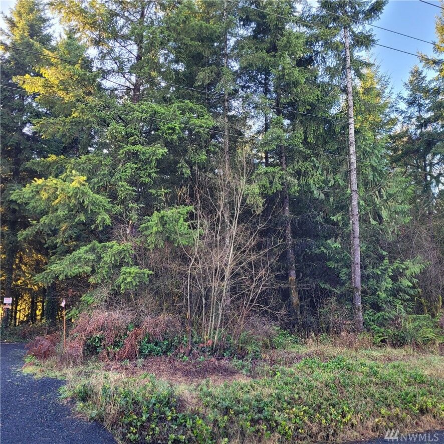 Property Photo:  249 Avery Rd  WA 98596 