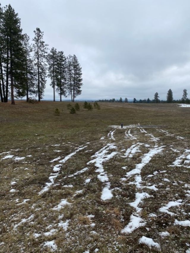 Property Photo:  Xxxx-A N Hardesty Rd  WA 99009 