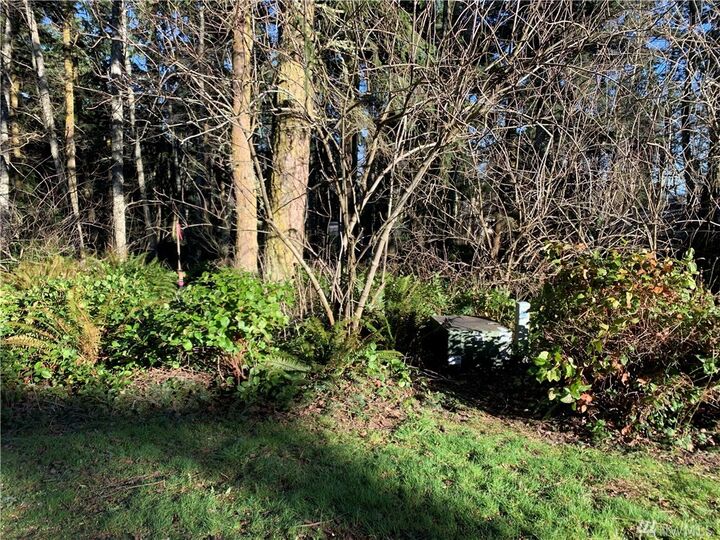 Property Photo: 28 Buckhorn Place - WA 98365