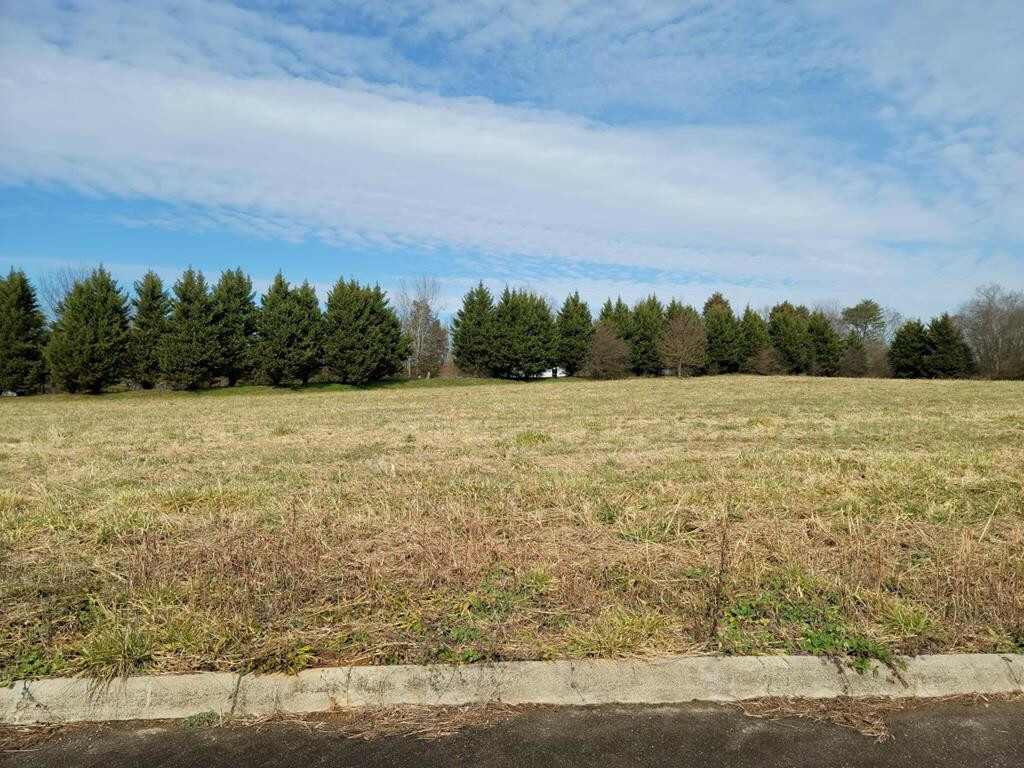 Property Photo: Lot 8 Meadow Lawn Drive TN 37329