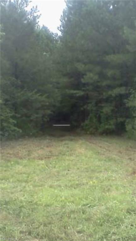 Property Photo:  17+Ac Low Ground Road  VA 23072 