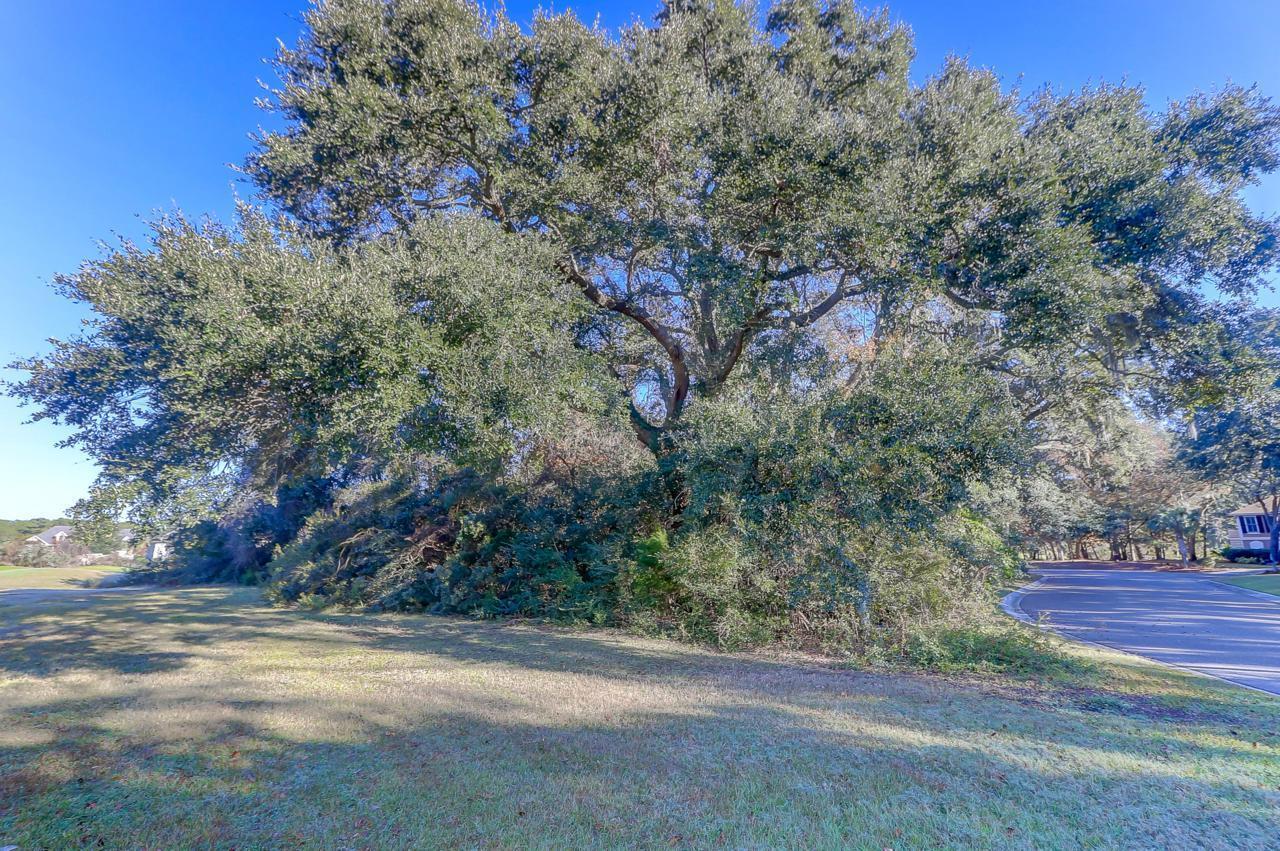 Property Photo:  4294 Turtle Landing Court  SC 29455 