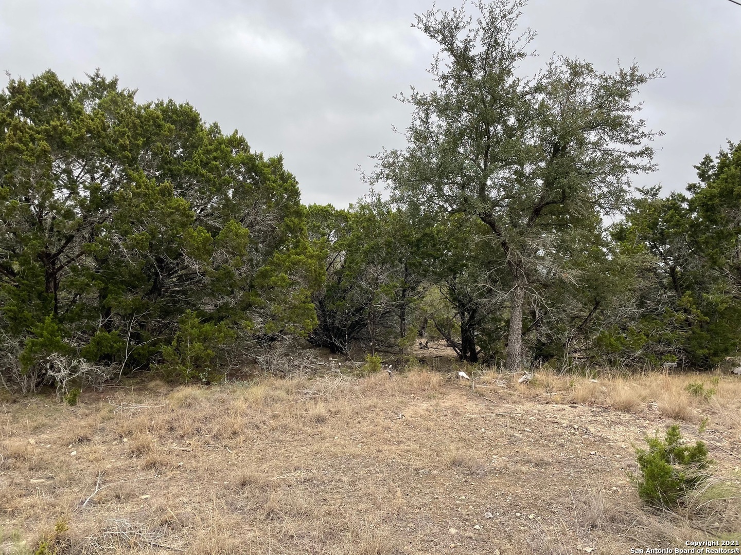Property Photo:  Lot 22 And 23 Bear Springs Trl  TX 78063 