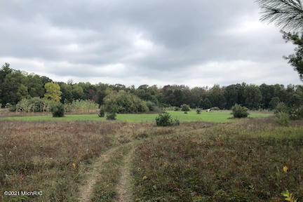 Property Photo:  186 Belding Rd.  MI 48865 